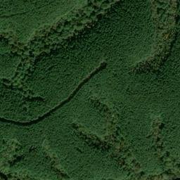 Satellite imagery of Copperas Branch Prospect, US