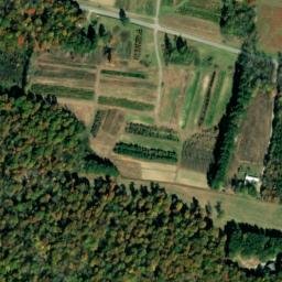 Satellite imagery of Pine Bluff, US