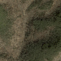 Satellite imagery of Brushy Ridge, US