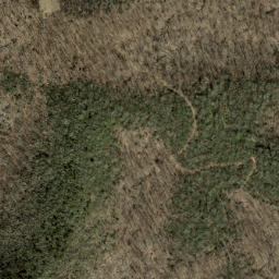 Satellite imagery of Brushy Ridge, US
