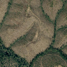 Satellite imagery of Prospect Ridge, US