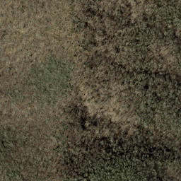 Satellite imagery of Forked Ridge, US