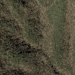 Satellite imagery of Forked Ridge, US