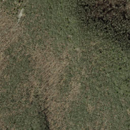 Satellite imagery of Forked Ridge, US