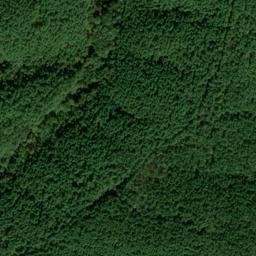 Satellite imagery of Piney Fork Prospects, US