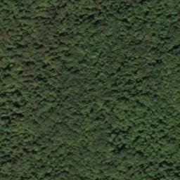 Satellite imagery of Ace Point, US