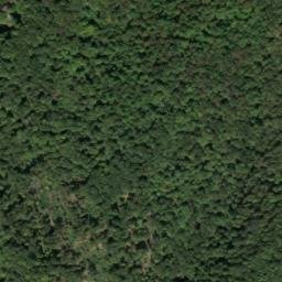 Satellite imagery of Ace Point, US