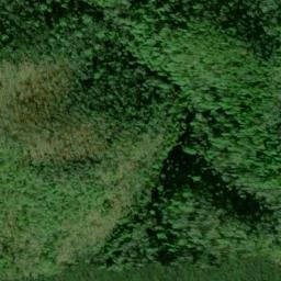 Satellite imagery of Cane Ridge, US