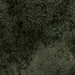 Satellite imagery of Beech Ridge, US