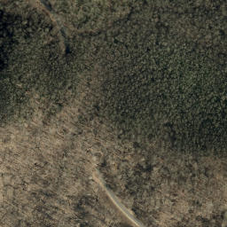 Satellite imagery of Tanbark Ridge, US
