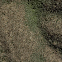 Satellite imagery of Forked Ridge, US