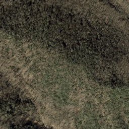 Satellite imagery of Forked Ridge, US