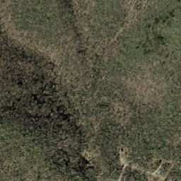 Satellite imagery of Forked Ridge, US