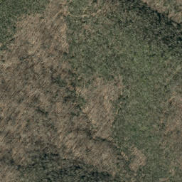 Satellite imagery of Birch Ridge, US