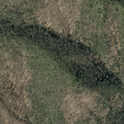 Satellite imagery of Birch Ridge, US