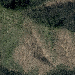Satellite imagery of Birch Ridge, US