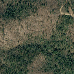 Satellite imagery of Black Fox Ridge, US