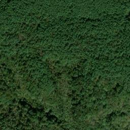 Satellite imagery of Piney Fork Prospects, US