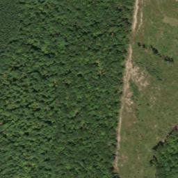 Satellite imagery of Rocky Branch Mine, US