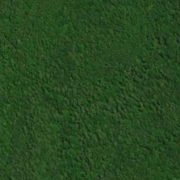Satellite imagery of Cane Ridge, US