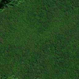Satellite imagery of Cane Ridge, US