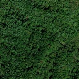 Satellite imagery of Fall Ridge, US