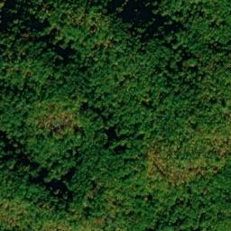Satellite imagery of Long Arm, US