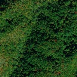 Satellite imagery of Long Arm, US