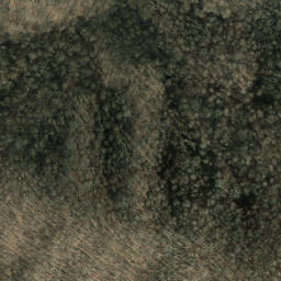 Satellite imagery of Short Bunk, US