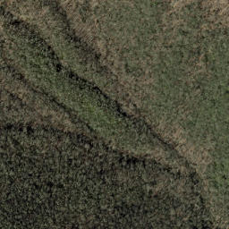 Satellite imagery of Forked Ridge, US