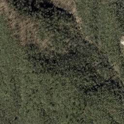 Satellite imagery of Forked Ridge, US