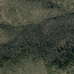 Satellite imagery of Birch Ridge, US