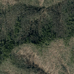 Satellite imagery of Birch Ridge, US