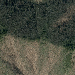 Satellite imagery of Birch Ridge, US