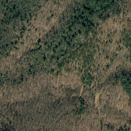 Satellite imagery of Black Fox Ridge, US