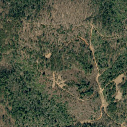 Satellite imagery of Black Fox Ridge, US