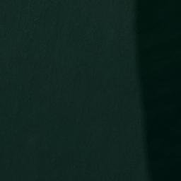 Satellite imagery of Engineer Point, US