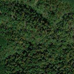 Satellite imagery of Roderick Hollow Mine, US