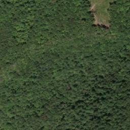 Satellite imagery of Rocky Branch Mine, US