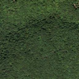 Satellite imagery of Rocky Branch Mine, US