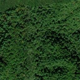 Satellite imagery of Cane Ridge, US
