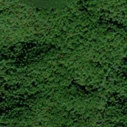 Satellite imagery of Cane Ridge, US
