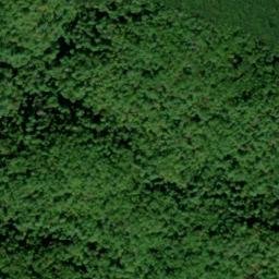 Satellite imagery of Cane Ridge, US