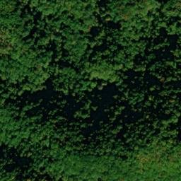 Satellite imagery of Lumber Ridge, US