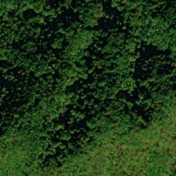 Satellite imagery of Lumber Ridge, US