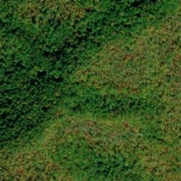 Satellite imagery of Long Arm, US