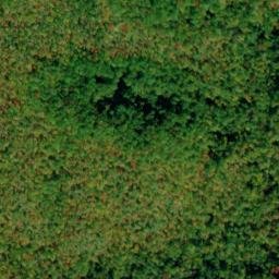 Satellite imagery of Long Arm, US