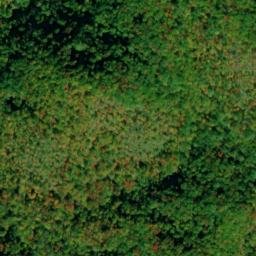 Satellite imagery of Long Arm, US