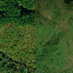 Satellite imagery of Spence Cabin, US