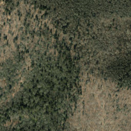 Satellite imagery of Beech Ridge, US